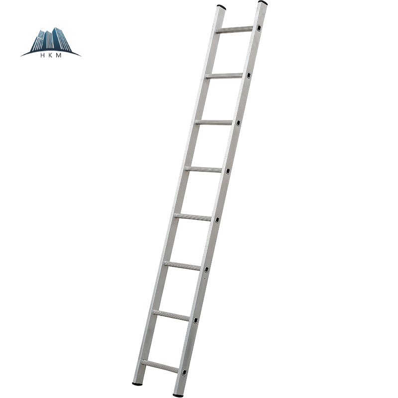 6.jpg Scaffold Aluminum Ladder